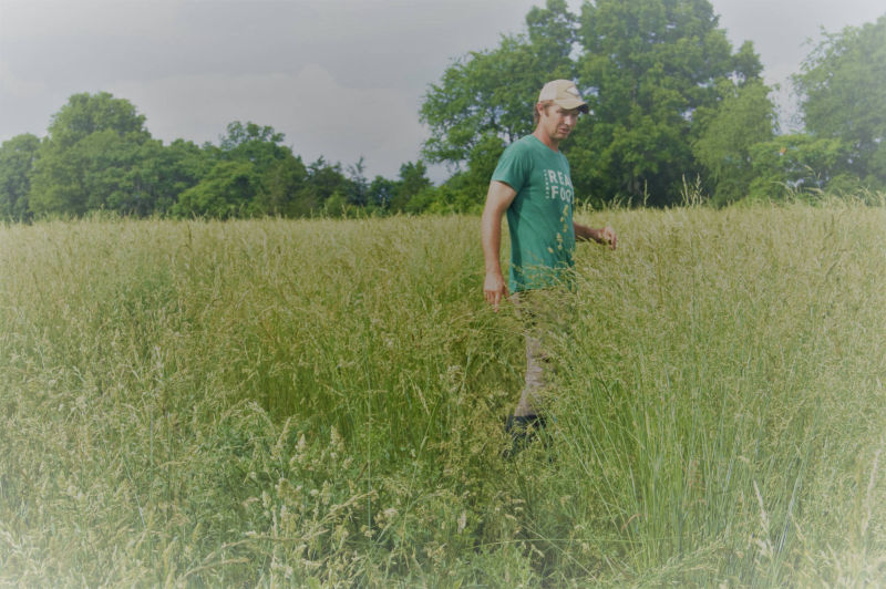 Tall grass walk thru