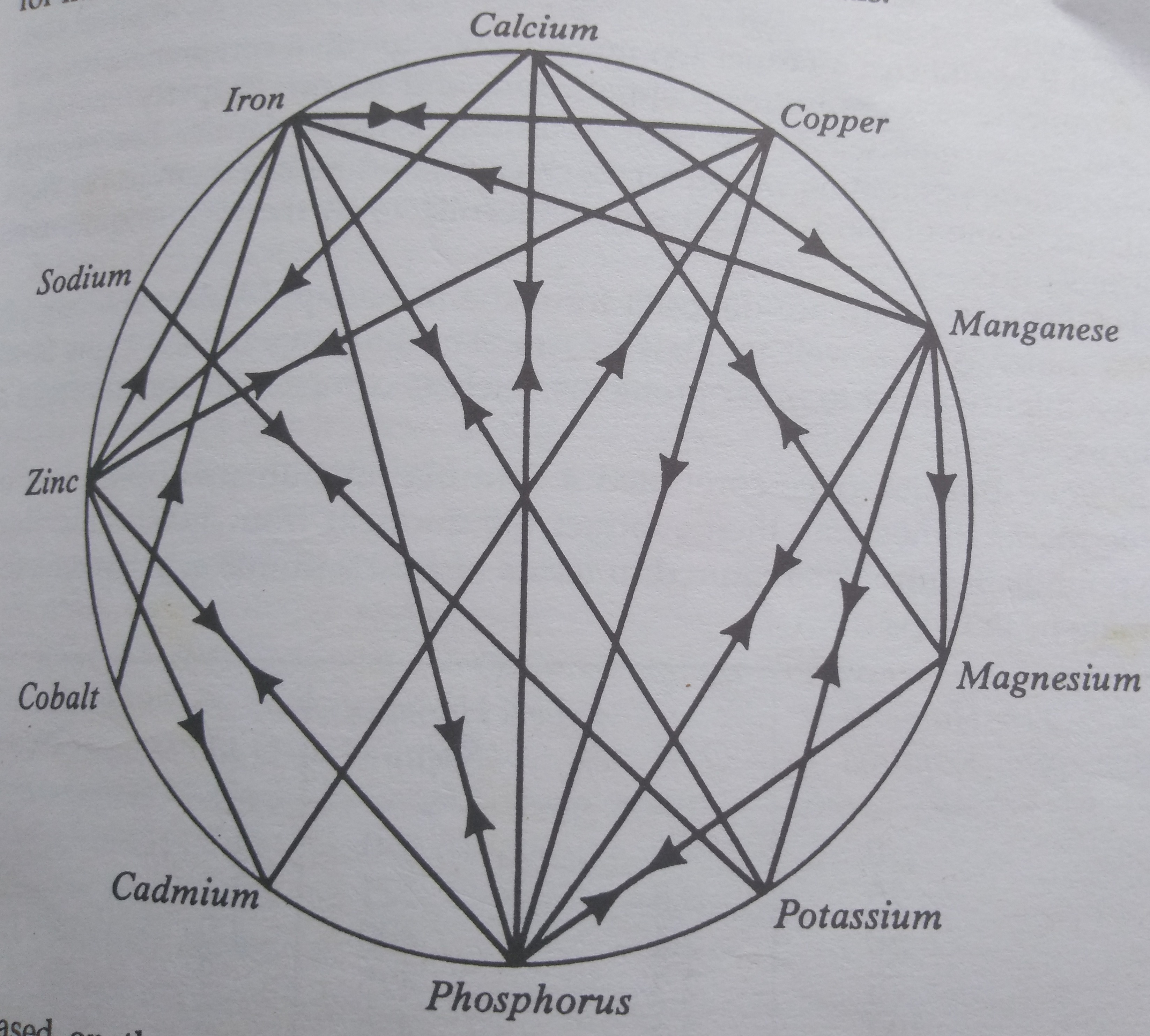 Nutrients are interconnected